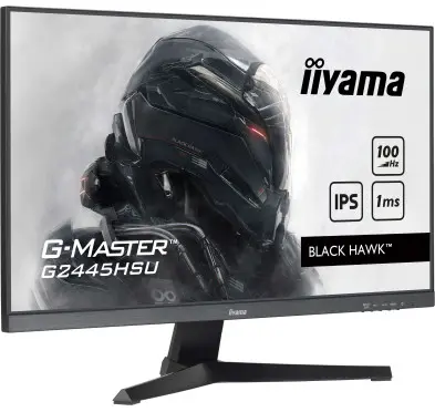 Ecran iiyama 24" G-Master G2445HSU-B2 1920x1080 100Hz 1ms