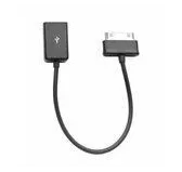 Adaptateur Heden 30 broches vers USB Femelle Samsung GalaxyTab